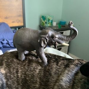 Schleich Elephant Bundle 3pc